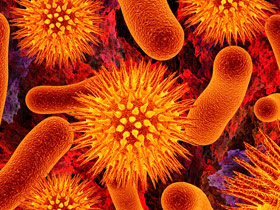 Fumiray Control de plagas