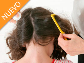 Fumiray Control de plagas