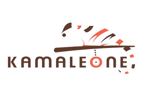 Clientes Paradigma Kamaleone